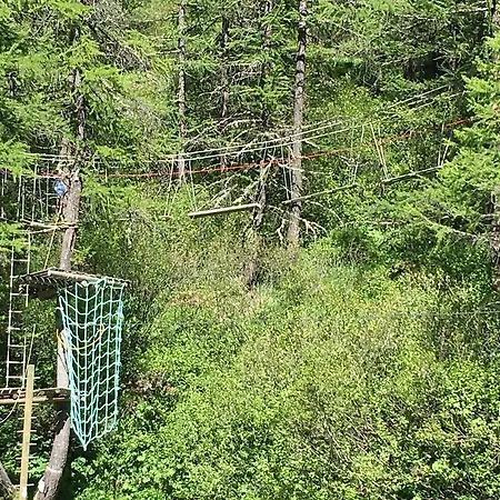 Les Jumeaux * ブレウイル・チェルヴィナイア