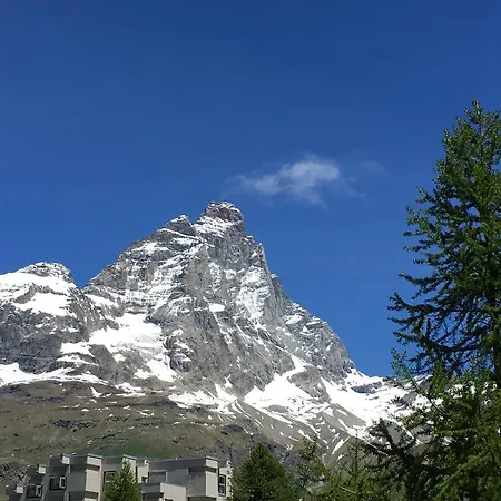 Les Jumeaux アパート