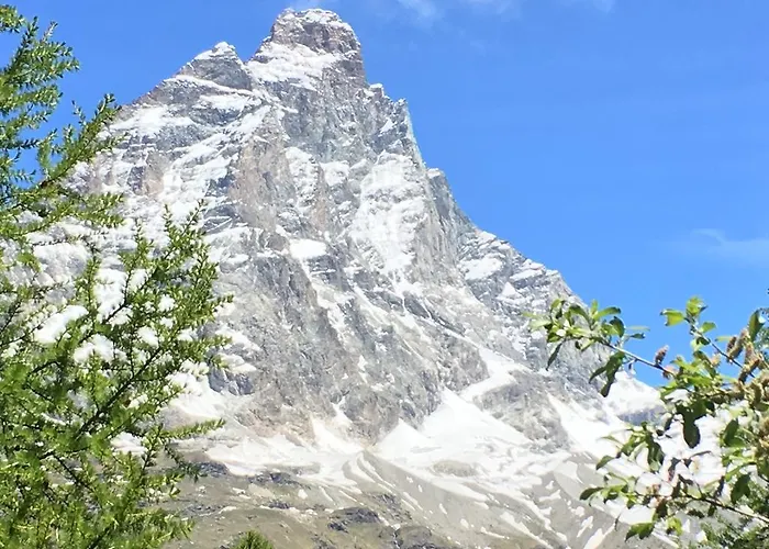 아파트 Les Jumeaux *