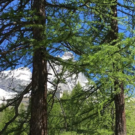 Les Jumeaux * Breuil-Cervinia
