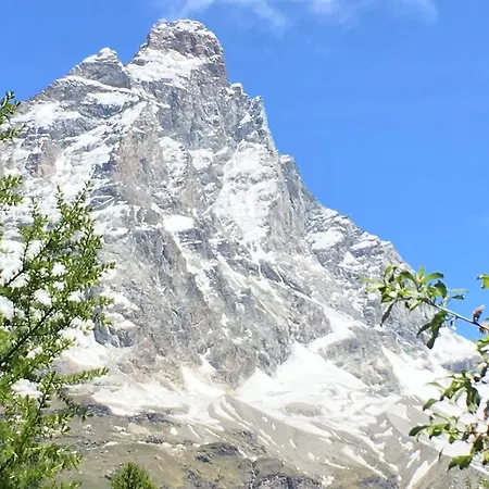 Appartement Les Jumeaux *
