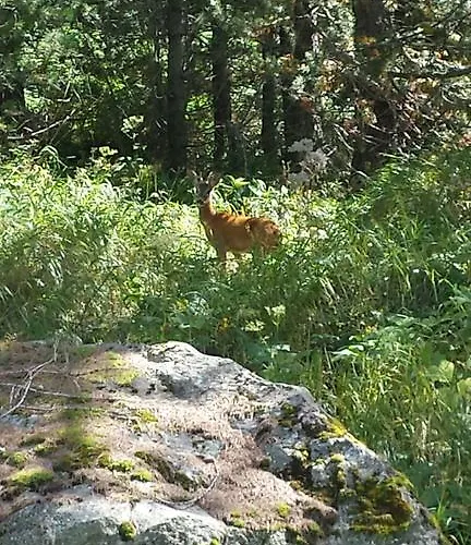 Les Jumeaux Breuil-Cervinia