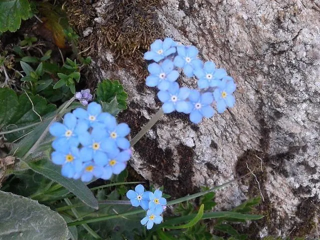 Les Jumeaux Apartment Breuil-Cervinia
