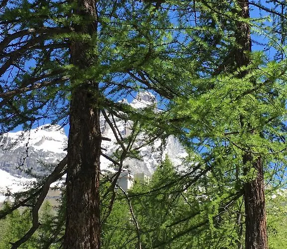 Les Jumeaux * Breuil-Cervinia